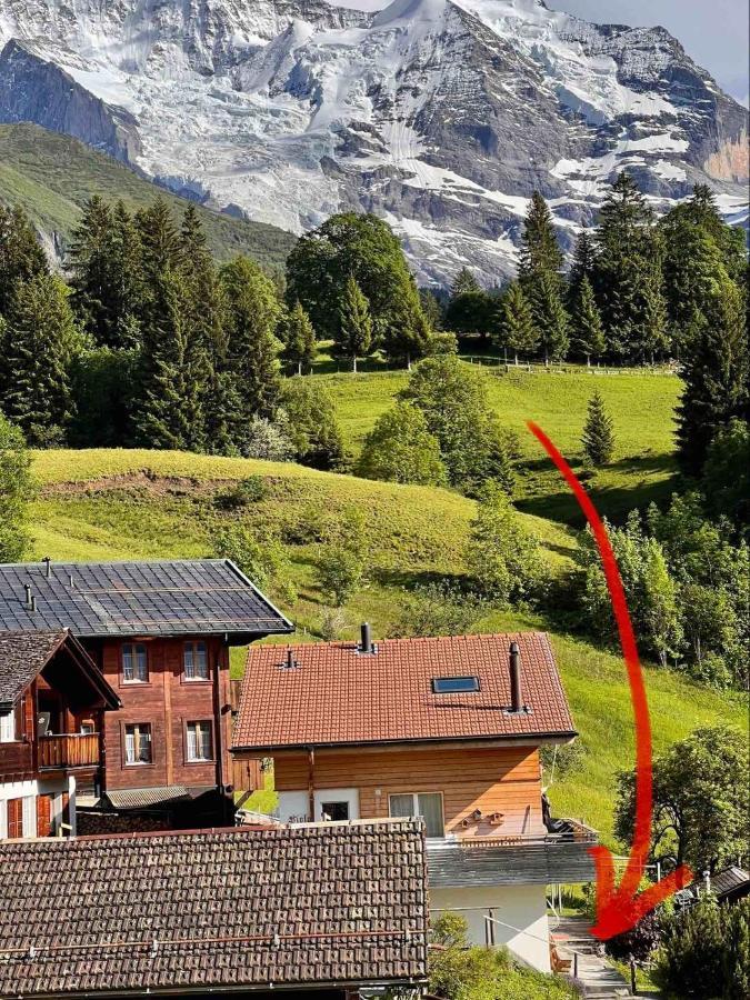 Chalet Viola Lejlighed Wengen Eksteriør billede