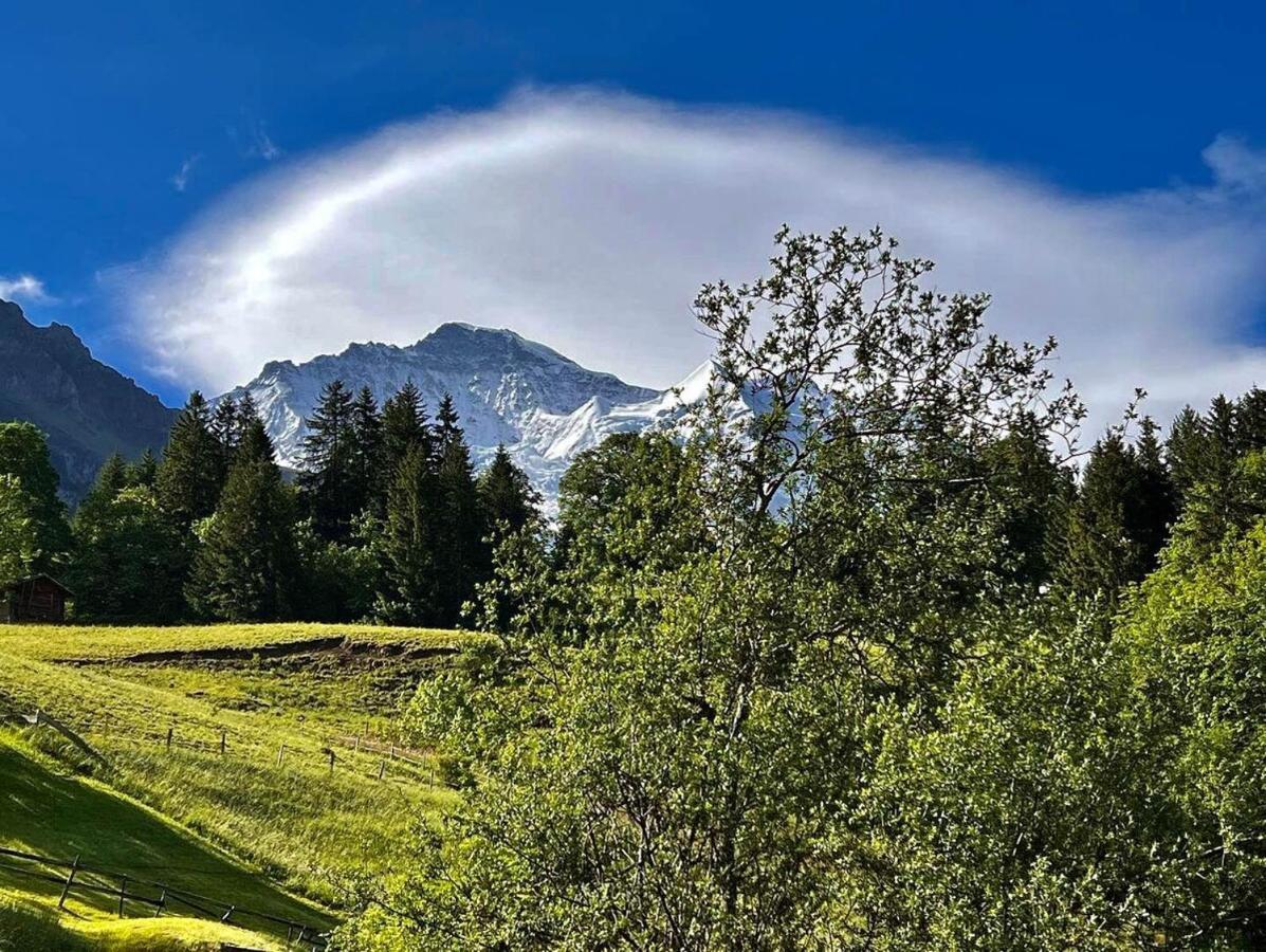 Chalet Viola Lejlighed Wengen Eksteriør billede