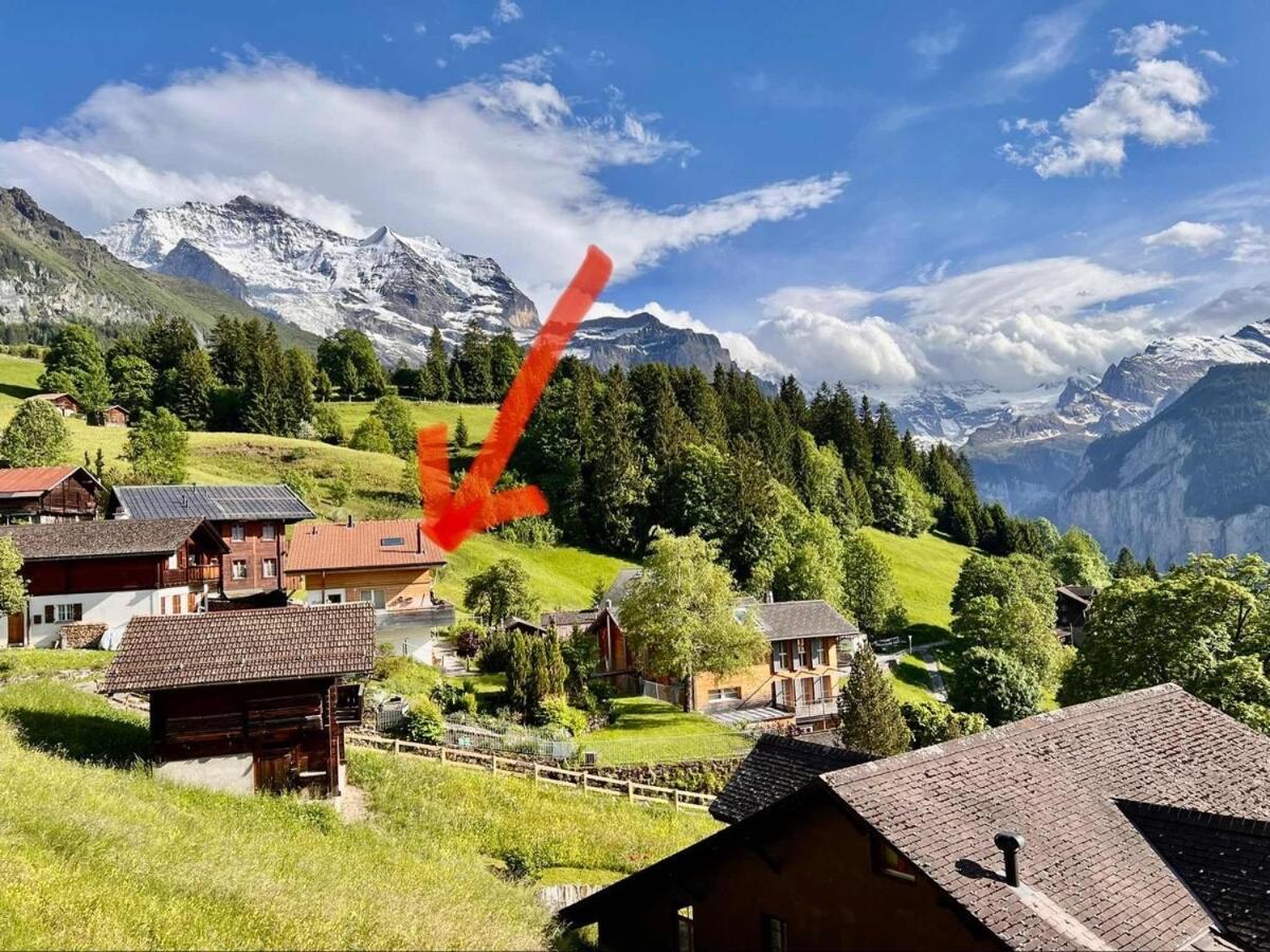 Chalet Viola Lejlighed Wengen Eksteriør billede