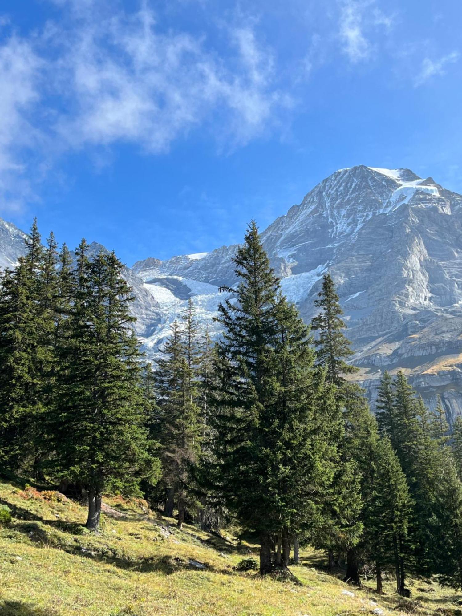 Chalet Viola Lejlighed Wengen Eksteriør billede