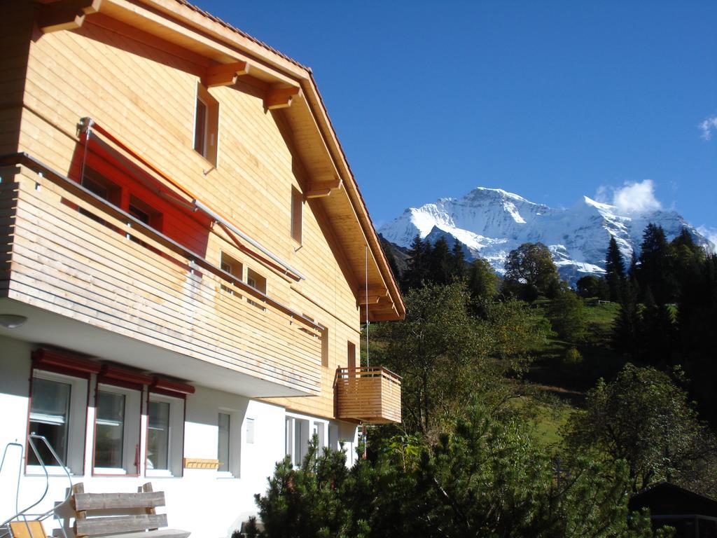 Chalet Viola Lejlighed Wengen Eksteriør billede