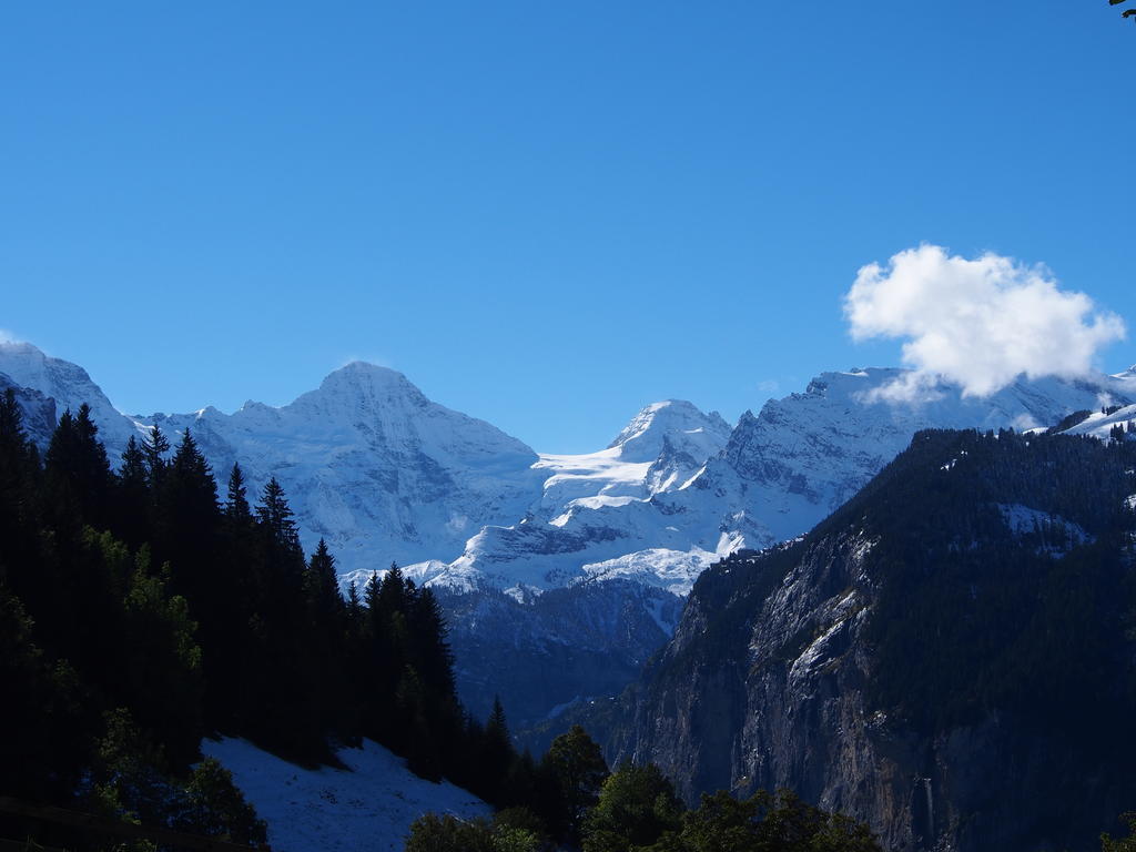 Chalet Viola Lejlighed Wengen Eksteriør billede