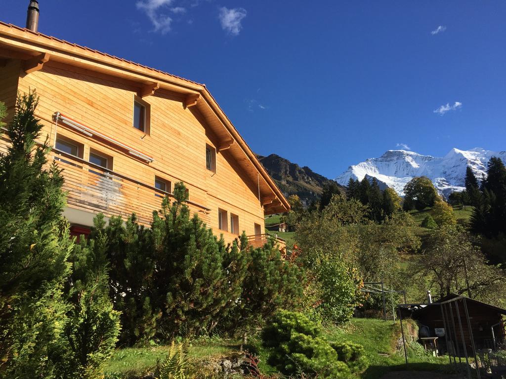 Chalet Viola Lejlighed Wengen Eksteriør billede